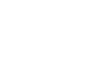 Feeler logo blanc